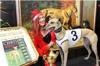 Chrt_dostihy_ultimate_greyhound_racing_park_prague_IMG_9383.JPG