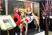 Chrt_dostihy_ultimate_greyhound_racing_park_prague_IMG_9409.JPG