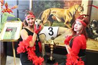 Chrt_dostihy_ultimate_greyhound_racing_park_prague_IMG_9420.JPG