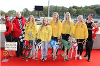 Chrt_dostihy_ultimate_greyhound_racing_park_prague_IMG_9476.JPG