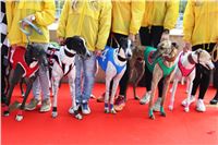 Chrt_dostihy_ultimate_greyhound_racing_park_prague_IMG_9481.JPG