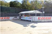 Chrt_dostihy_ultimate_greyhound_racing_park_prague_IMG_9513.JPG