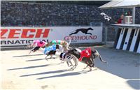 Chrt_dostihy_ultimate_greyhound_racing_park_prague_IMG_9517.JPG