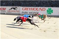 Chrt_dostihy_ultimate_greyhound_racing_park_prague_IMG_9519.JPG