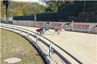 Chrt_dostihy_ultimate_greyhound_racing_park_prague_IMG_9521.JPG