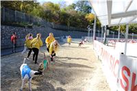 Chrt_dostihy_ultimate_greyhound_racing_park_prague_IMG_9522.JPG