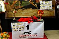 Chrt_dostihy_ultimate_greyhound_racing_park_prague_IMG_9563.JPG