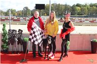 Chrt_dostihy_ultimate_greyhound_racing_park_prague_IMG_9566.JPG