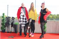 Chrt_dostihy_ultimate_greyhound_racing_park_prague_IMG_9568.JPG