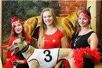 Chrt_dostihy_ultimate_greyhound_racing_park_prague_NQ1M0102.JPG