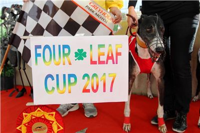 Chrt_dostihy_Greyhound_Park_Motol_Praha_Four_Leaf_Cup_1_IMG_0084.JPG