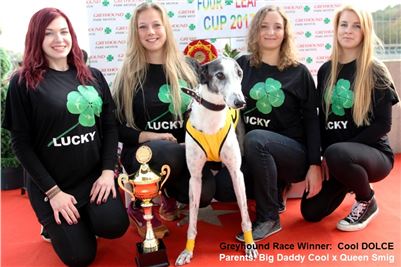 Chrt_dostihy_Greyhound_Park_Motol_Praha_Four_Leaf_Cup_2_IMG_0107.JPG