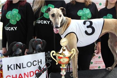 Chrt_dostihy_Greyhound_Park_Motol_Praha_Four_Leaf_Cup_3_IMG_0180.JPG