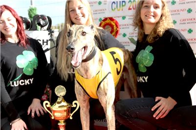 Chrt_dostihy_Greyhound_Park_Motol_Praha_Four_Leaf_Cup_4_IMG_0295.JPG