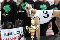 Chrt_dostihy_Greyhound_Park_Motol_Praha_Four_Leaf_Cup_3_IMG_0180.jpg