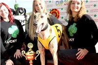 Chrt_dostihy_Greyhound_Park_Motol_Praha_Four_Leaf_Cup_4_IMG_0295.jpg