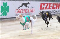 Chrt_dostihy_Greyhound_Park_Motol_Praha_Four_Leaf_Cup_6_IMG_0152.jpg