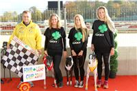 Chrt_dostihy_Greyhound_Park_Motol_Praha_Four_Leaf_Cup_IMG_0082.JPG