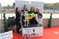 Chrt_dostihy_Greyhound_Park_Motol_Praha_Four_Leaf_Cup_IMG_0095.JPG