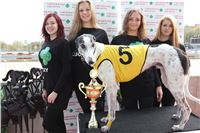 Chrt_dostihy_Greyhound_Park_Motol_Praha_Four_Leaf_Cup_IMG_0097.JPG