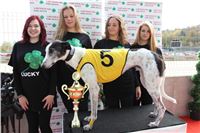 Chrt_dostihy_Greyhound_Park_Motol_Praha_Four_Leaf_Cup_IMG_0098.JPG