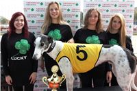 Chrt_dostihy_Greyhound_Park_Motol_Praha_Four_Leaf_Cup_IMG_0099.JPG