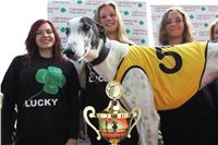 Chrt_dostihy_Greyhound_Park_Motol_Praha_Four_Leaf_Cup_IMG_0104.JPG