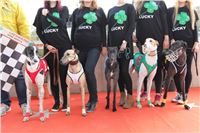 Chrt_dostihy_Greyhound_Park_Motol_Praha_Four_Leaf_Cup_IMG_0120.JPG