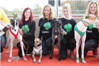 Chrt_dostihy_Greyhound_Park_Motol_Praha_Four_Leaf_Cup_IMG_0126.JPG