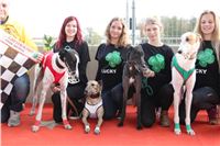 Chrt_dostihy_Greyhound_Park_Motol_Praha_Four_Leaf_Cup_IMG_0127.JPG