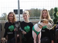 Chrt_dostihy_Greyhound_Park_Motol_Praha_Four_Leaf_Cup_IMG_0131.JPG