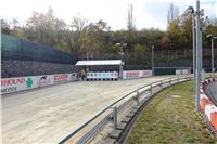 Chrt_dostihy_Greyhound_Park_Motol_Praha_Four_Leaf_Cup_IMG_0147.JPG