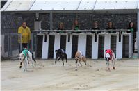 Chrt_dostihy_Greyhound_Park_Motol_Praha_Four_Leaf_Cup_IMG_0150.JPG