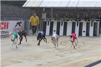 Chrt_dostihy_Greyhound_Park_Motol_Praha_Four_Leaf_Cup_IMG_0151.JPG