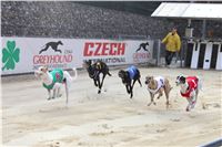 Chrt_dostihy_Greyhound_Park_Motol_Praha_Four_Leaf_Cup_IMG_0152 (3).JPG