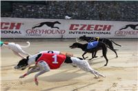 Chrt_dostihy_Greyhound_Park_Motol_Praha_Four_Leaf_Cup_IMG_0154.JPG