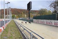 Chrt_dostihy_Greyhound_Park_Motol_Praha_Four_Leaf_Cup_IMG_0158.JPG