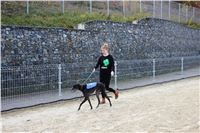 Chrt_dostihy_Greyhound_Park_Motol_Praha_Four_Leaf_Cup_IMG_0160.JPG