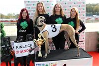 Chrt_dostihy_Greyhound_Park_Motol_Praha_Four_Leaf_Cup_IMG_0169.JPG