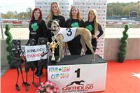 Chrt_dostihy_Greyhound_Park_Motol_Praha_Four_Leaf_Cup_IMG_0174.JPG