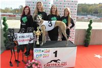 Chrt_dostihy_Greyhound_Park_Motol_Praha_Four_Leaf_Cup_IMG_0175.JPG