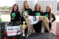 Chrt_dostihy_Greyhound_Park_Motol_Praha_Four_Leaf_Cup_IMG_0176.JPG