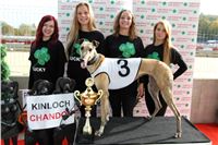 Chrt_dostihy_Greyhound_Park_Motol_Praha_Four_Leaf_Cup_IMG_0178.JPG