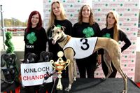 Chrt_dostihy_Greyhound_Park_Motol_Praha_Four_Leaf_Cup_IMG_0179.JPG