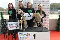 Chrt_dostihy_Greyhound_Park_Motol_Praha_Four_Leaf_Cup_IMG_0181.JPG