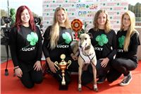 Chrt_dostihy_Greyhound_Park_Motol_Praha_Four_Leaf_Cup_IMG_0182.JPG