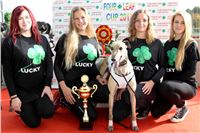 Chrt_dostihy_Greyhound_Park_Motol_Praha_Four_Leaf_Cup_IMG_0183.JPG