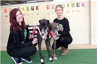 Chrt_dostihy_Greyhound_Park_Motol_Praha_Four_Leaf_Cup_IMG_0214.JPG