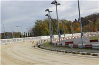 Chrt_dostihy_Greyhound_Park_Motol_Praha_Four_Leaf_Cup_IMG_0226.JPG