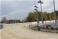 Chrt_dostihy_Greyhound_Park_Motol_Praha_Four_Leaf_Cup_IMG_0227.JPG